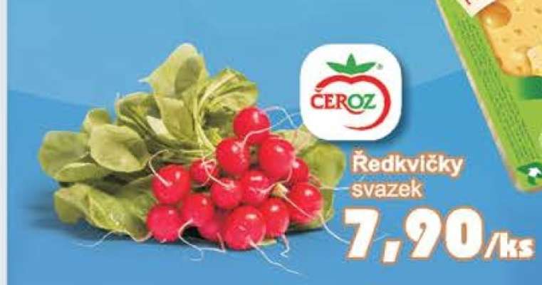 Ředkvičky