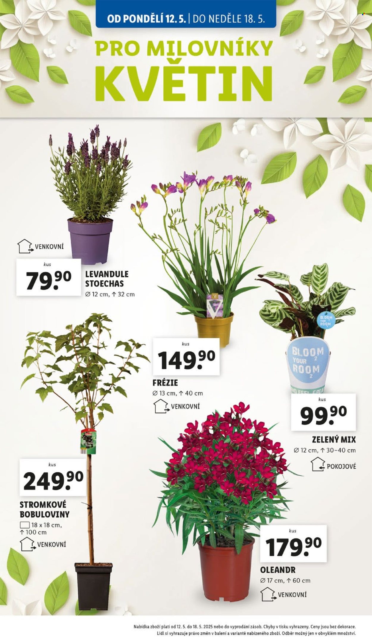Leták Lidl - 12.5.2025 - 18.5.2025. Strana 1