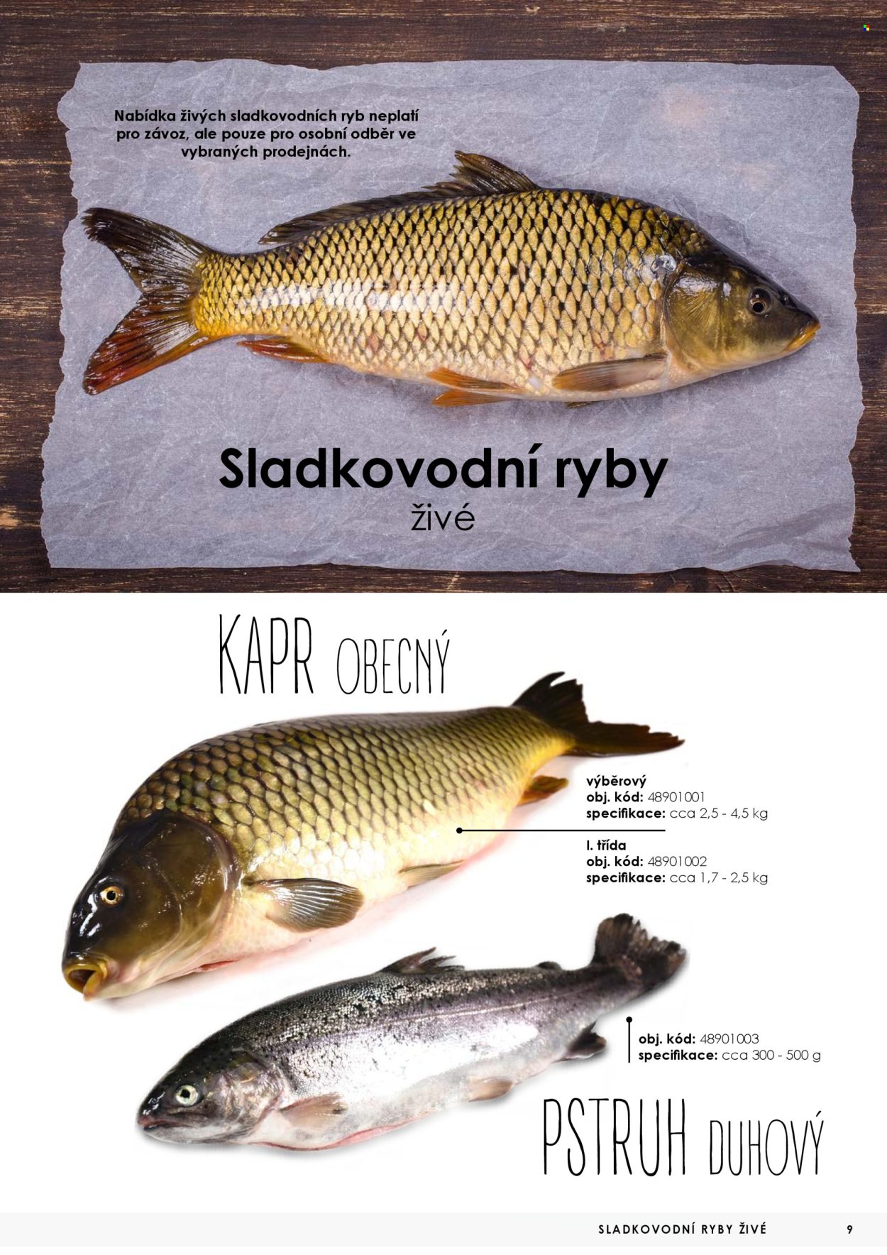 Leták JIP. Strana 1