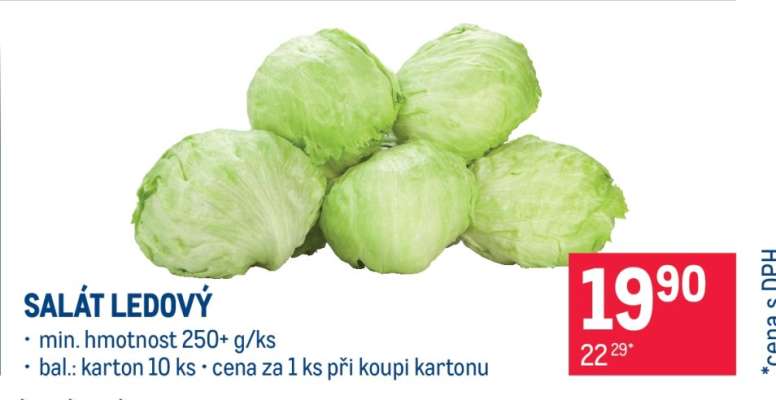 Salát ledový