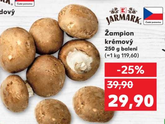 Žampion krémový
