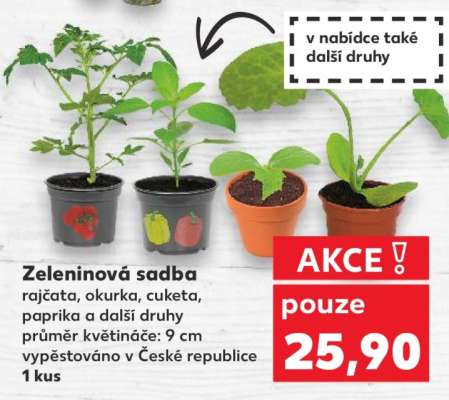 Zeleninová sadba
