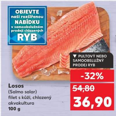 Losos (Salmo salar)