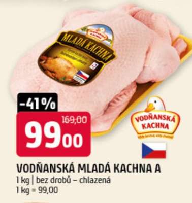 VODŇANSKÁ MLADÁ KACHNA A