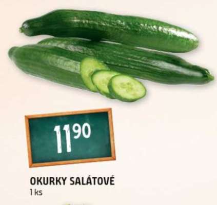 OKURKY SALÁTOVÉ