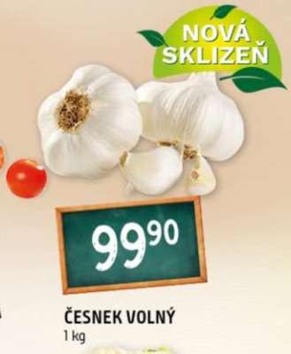 Česnek volný