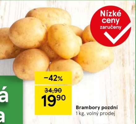 Brambory pozdní
