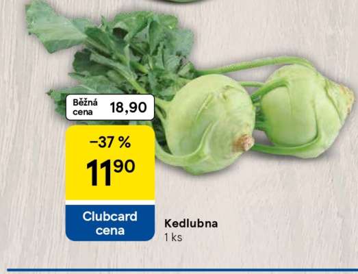KEDLUBNA