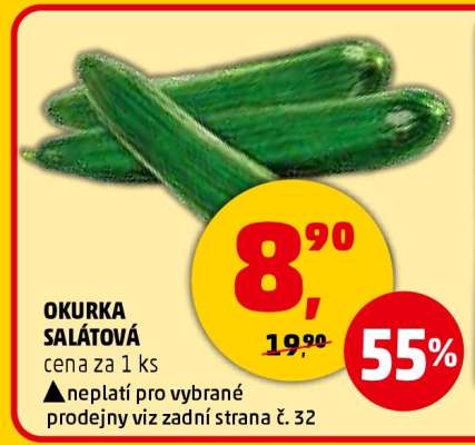 OKURKA SALÁTOVÁ