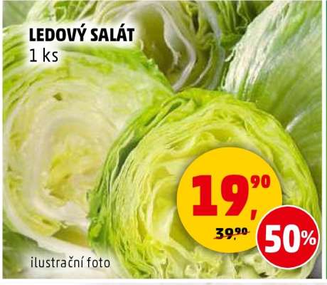 Ledový salát