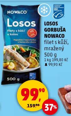 LOSOS GORBUŠA NOWACO
