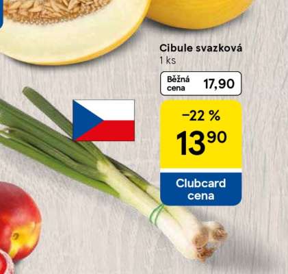 Cibule svazková