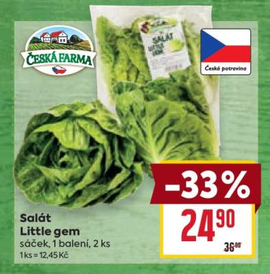 Salát Little Gem