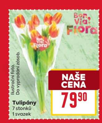 Tulipány