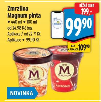 Zmrzlina Magnum Pinta