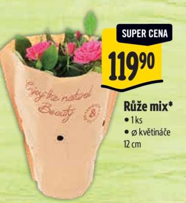 Růže mix*