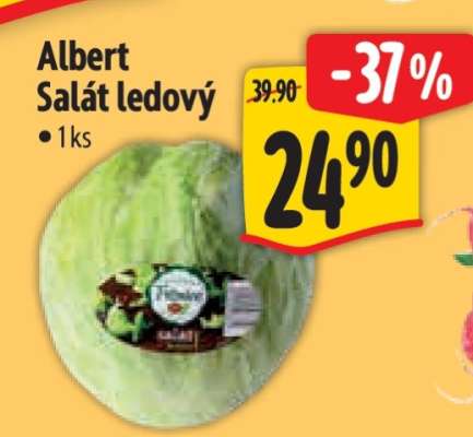Albert Salát ledový