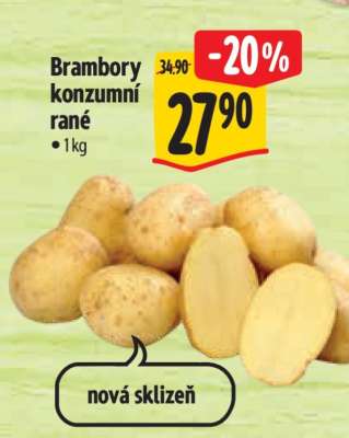Brambory konzumní rané