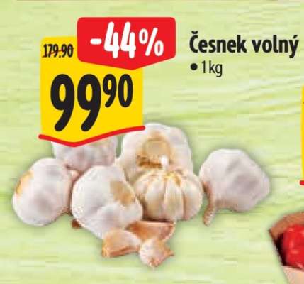 Česnek volný