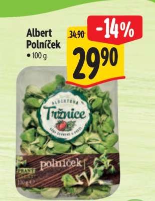 Albert Polníček