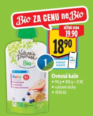 Ovesná kaše
