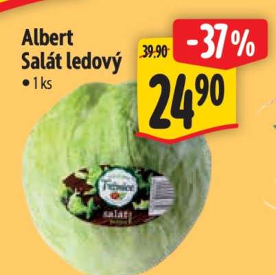 Albert Salát ledový