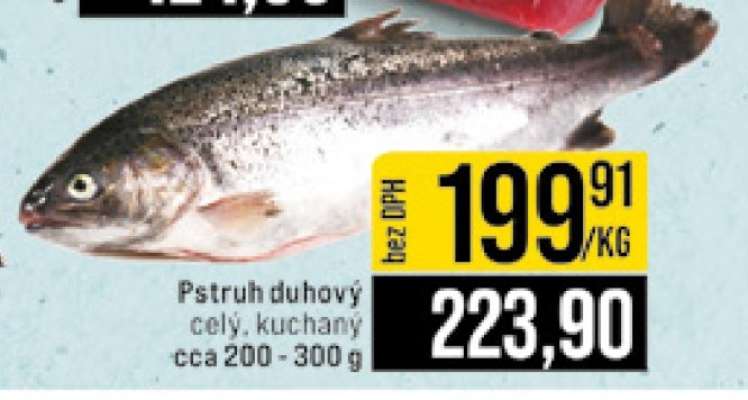 Pstruh duhový