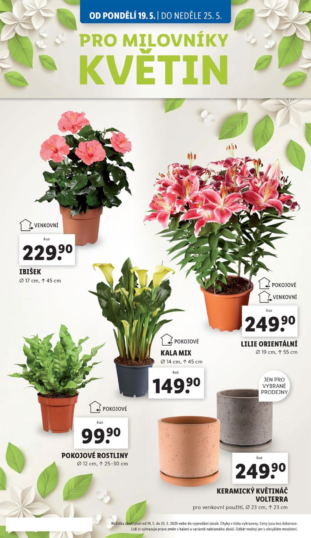 Leták Lidl - 19.5.2025 - 25.5.2025. Strana 1