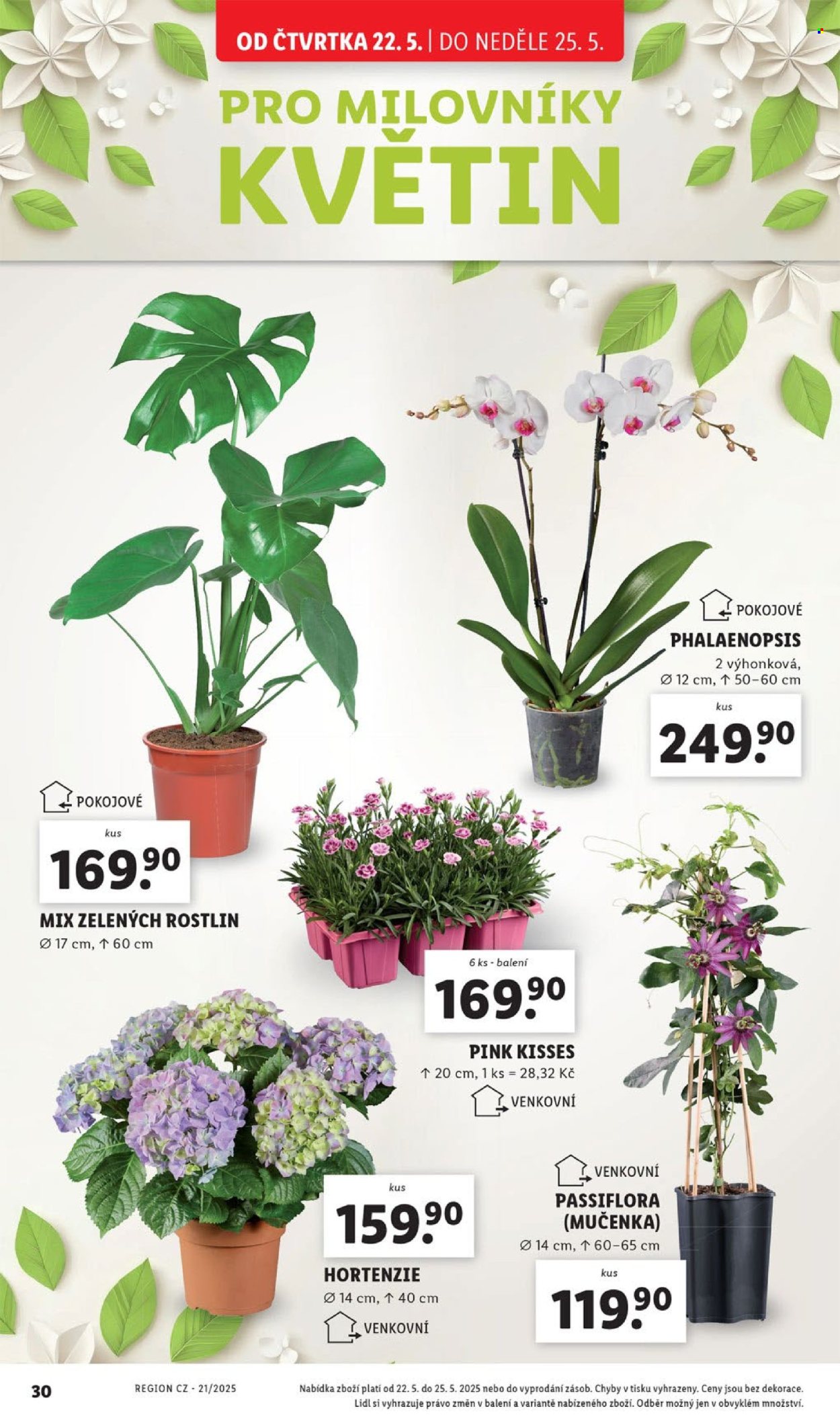 Leták Lidl - 22.5.2025 - 25.5.2025. Strana 1