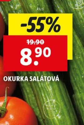 OKURKA SALÁTOVÁ