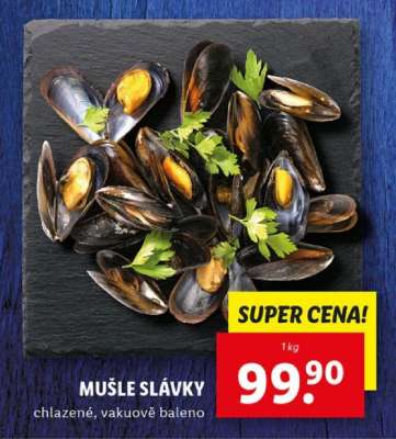 Mušle slávky