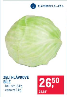 Zelí hlávkové bílé