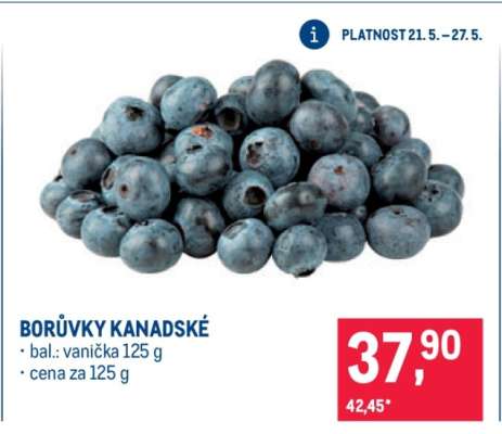 Borůvky kanadské