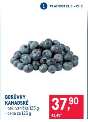 Borůvky kanadské