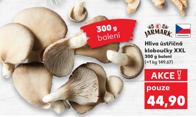 Hlíva ústřičná kloboučky XXL