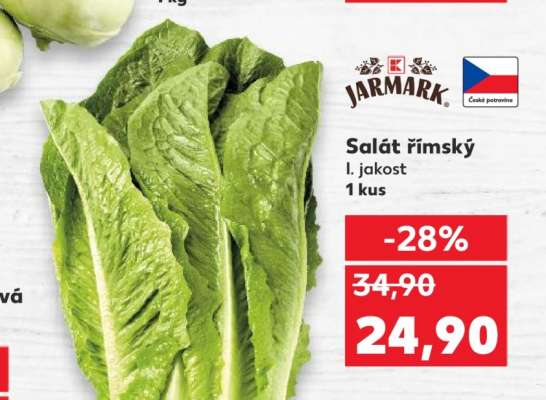 Salát římský