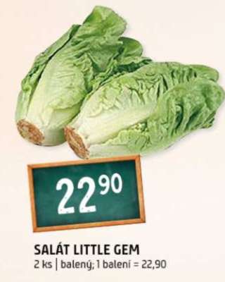 Salát Little Gem
