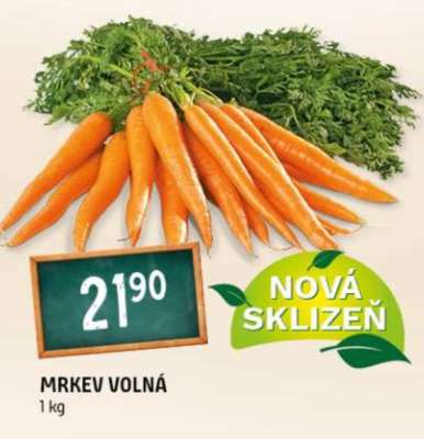 Mrkev volná