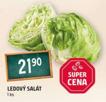 Ledový salát