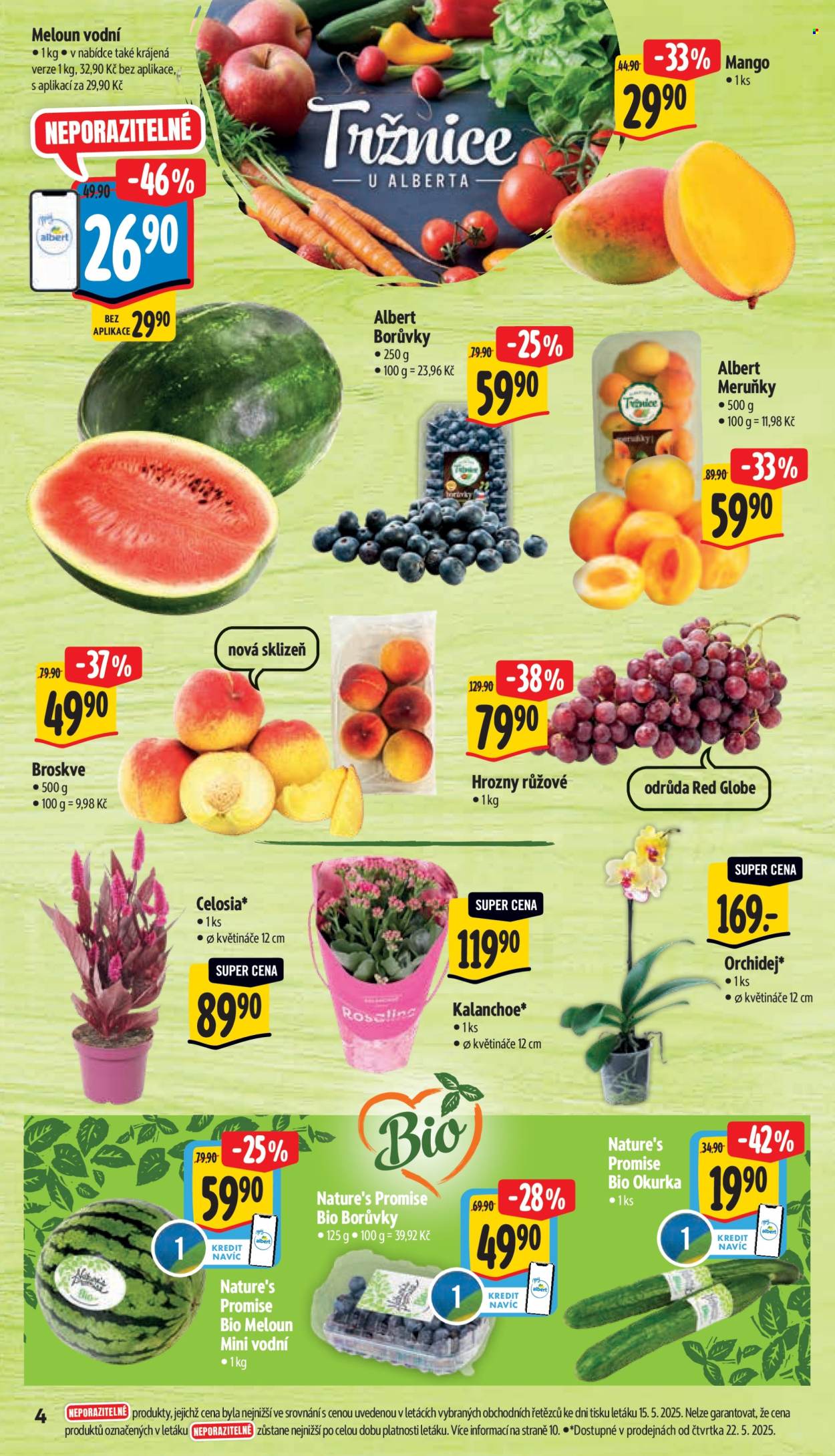Leták Albert Supermarket - 21.5.2025 - 27.5.2025. Strana 1