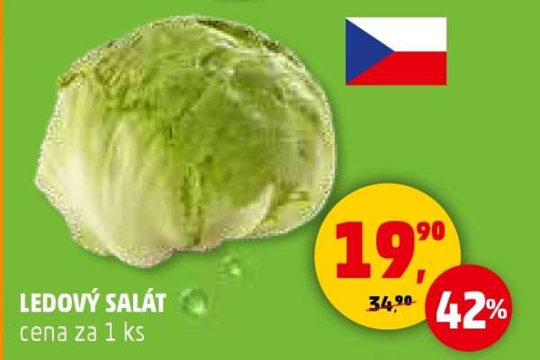 Ledový salát