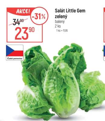 Salát Little Gem zelený