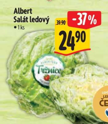 Albert Salát ledový