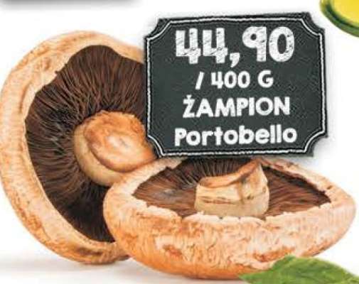 Žampion Portobello