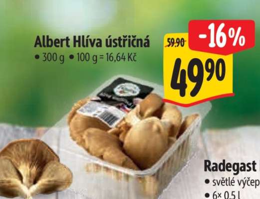 Albert Hlíva ústřičná