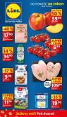 leaflet