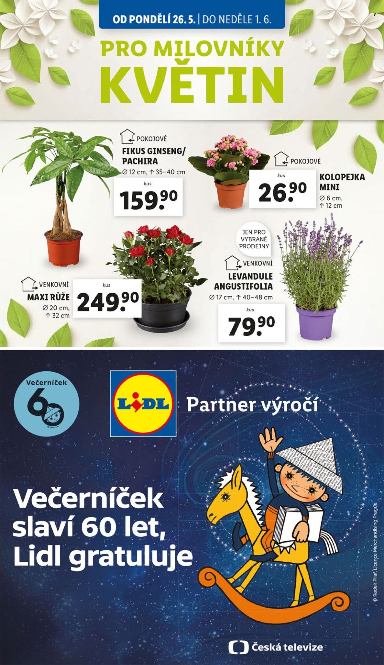 Leták Lidl - 26.5.2025 - 1.6.2025. Strana 1