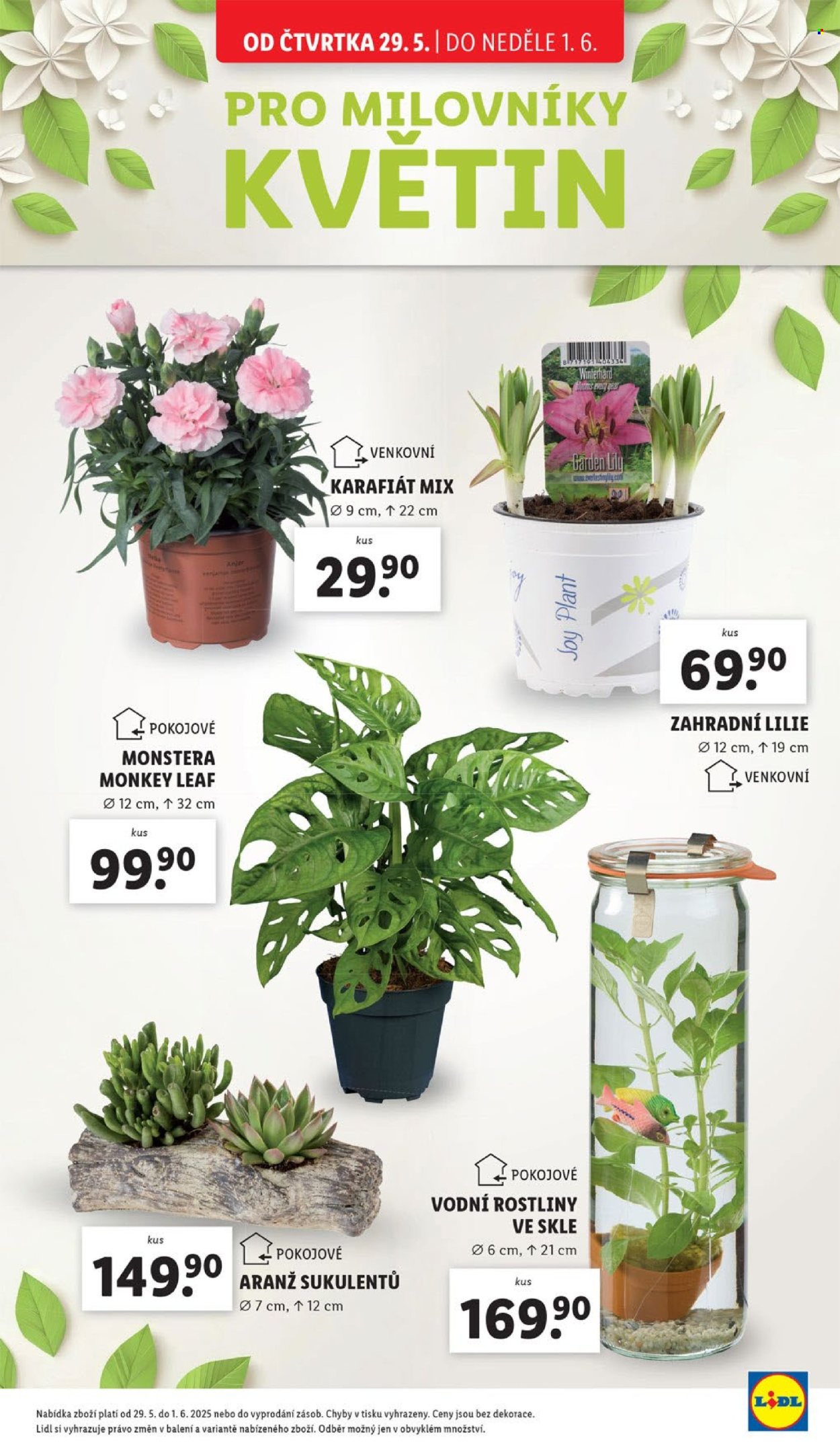Leták Lidl - 29.5.2025 - 1.6.2025. Strana 1