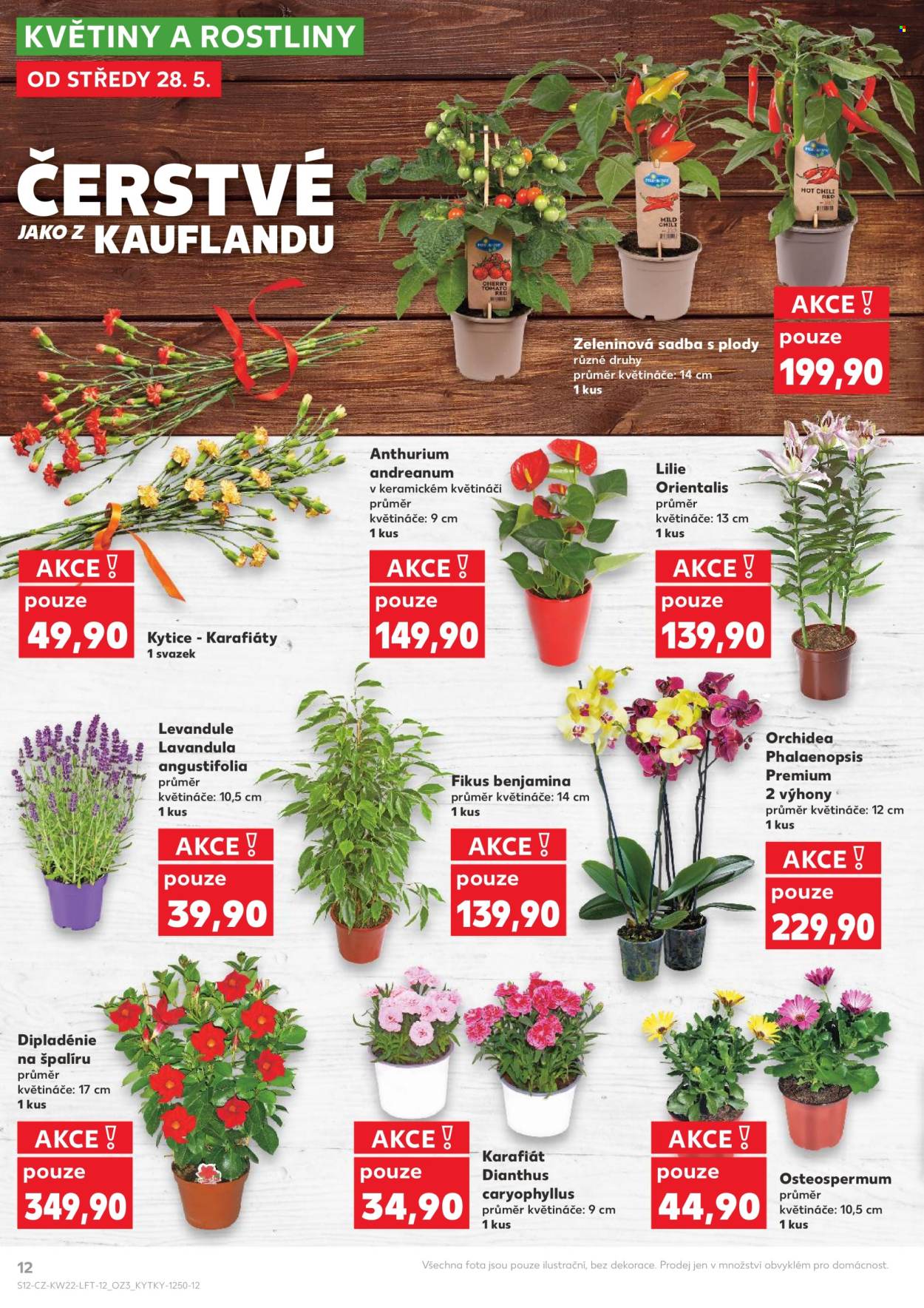Leták Kaufland - 28.5.2025 - 3.6.2025. Strana 1