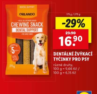 Orlando Chewing Snack Dental Support